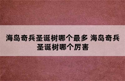 海岛奇兵圣诞树哪个最多 海岛奇兵圣诞树哪个厉害